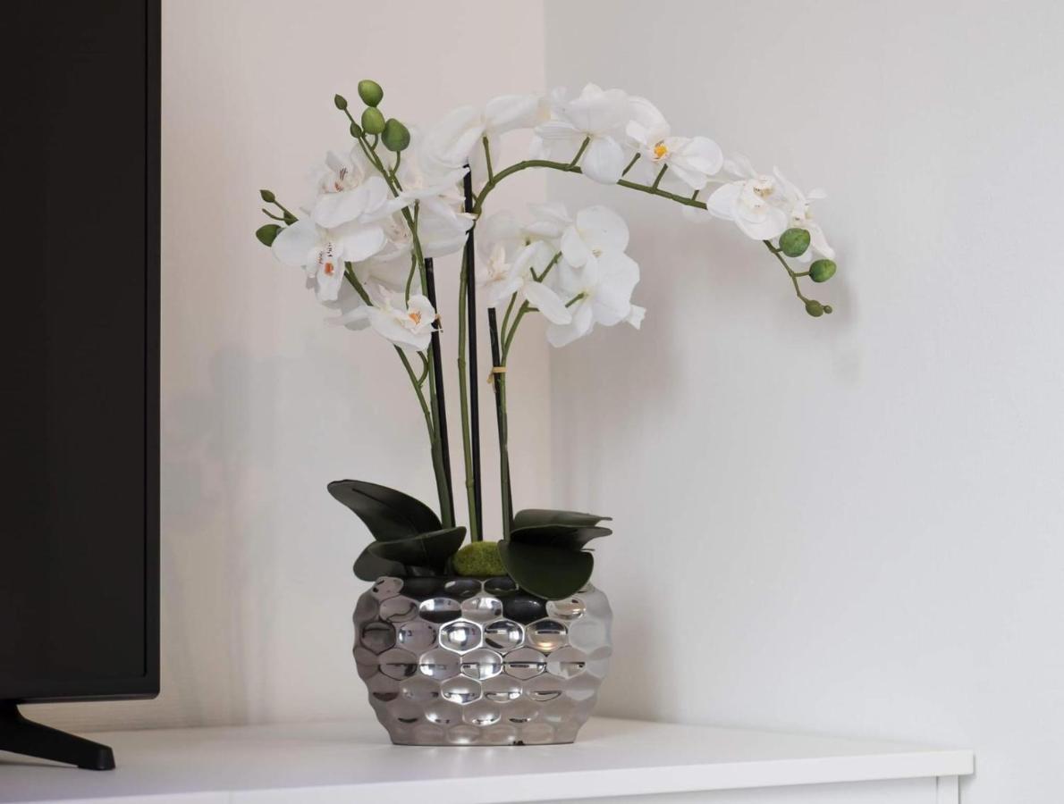 Executive Single Room With En-Suite In Guest House City Centre Lussemburgo Esterno foto